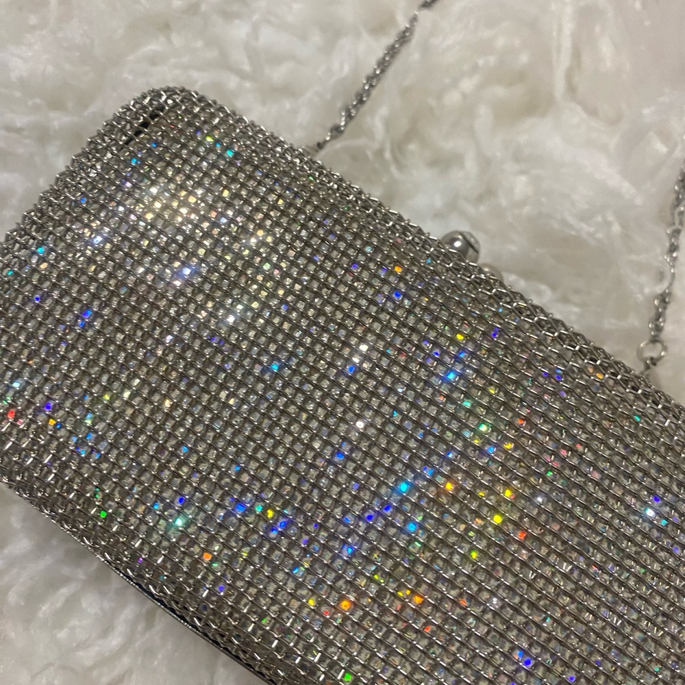 Y2K Silver Clutch purse